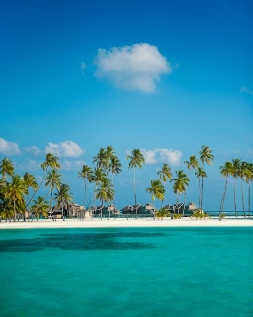 Relaxation at Waves of Grace